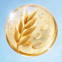 Oat (Avena sativa)